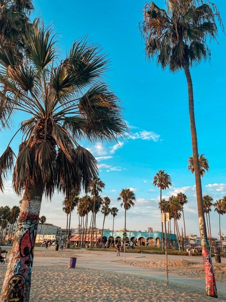 Venice Beach