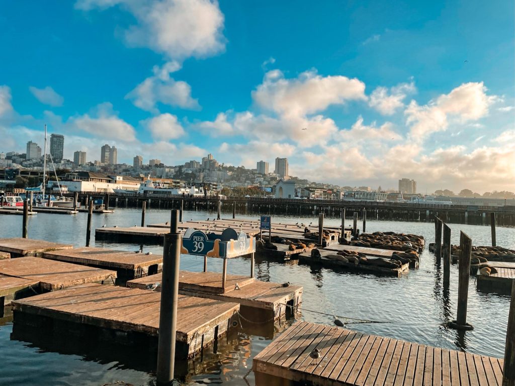 Pier 39