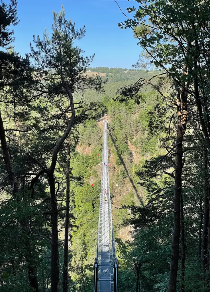 Passerelle himalayenne des Gorges du Lignon