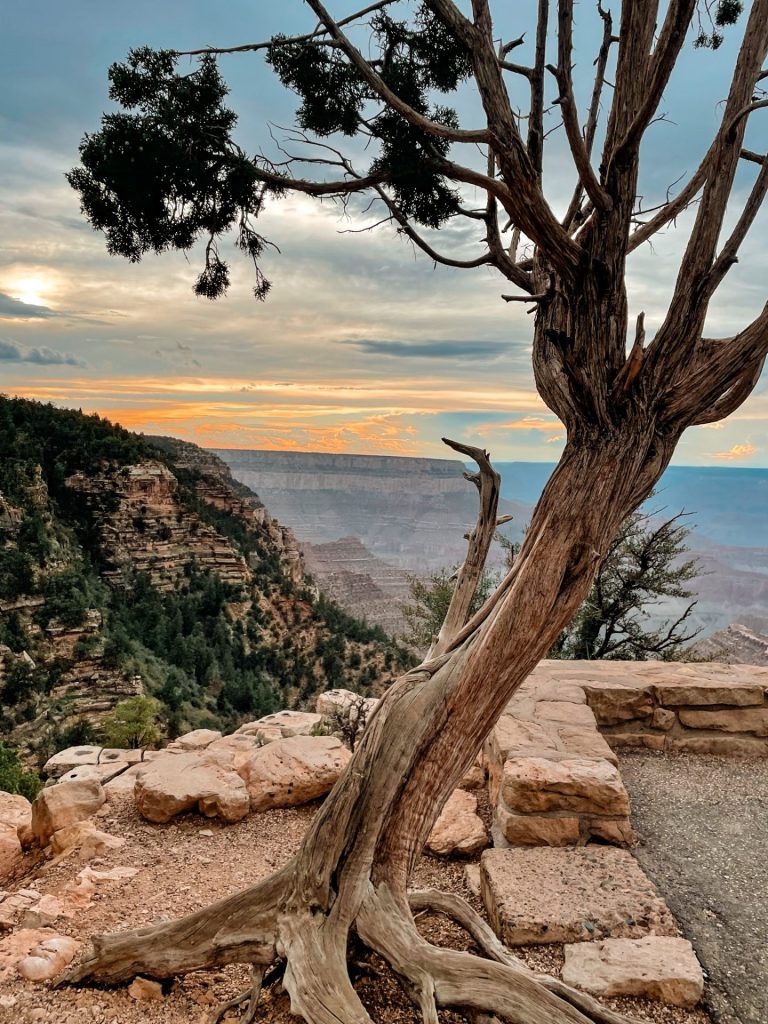Grand Canyon