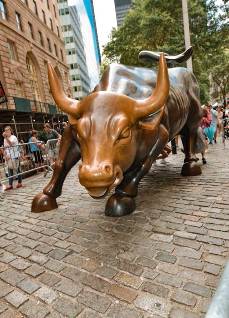 Charging bull