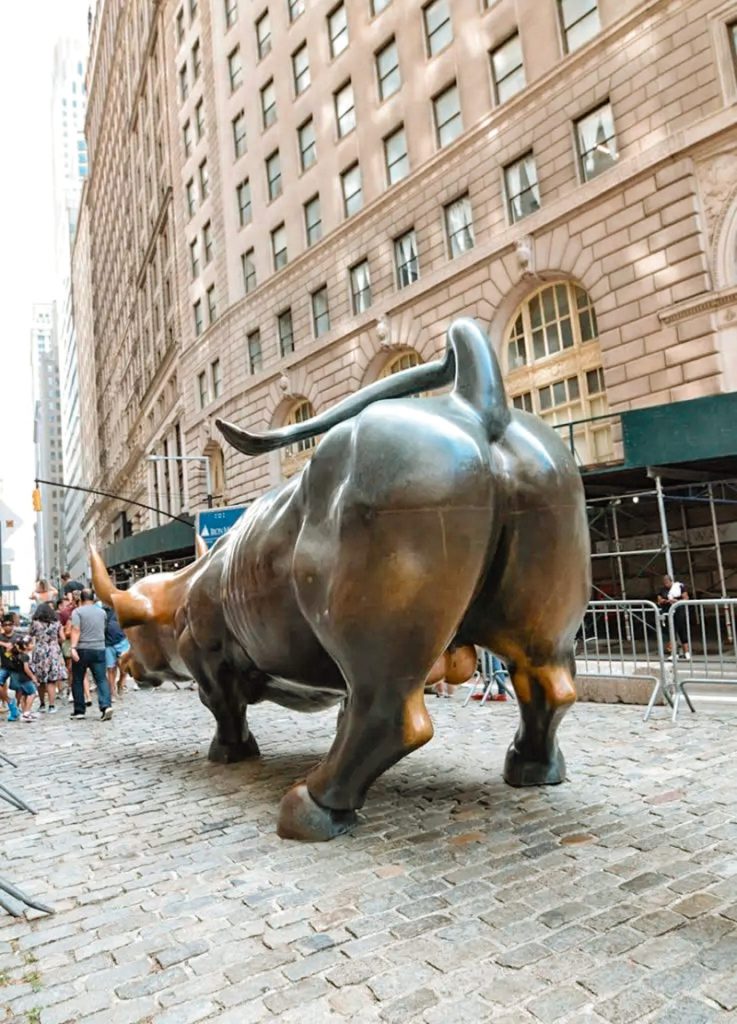Charging bull
