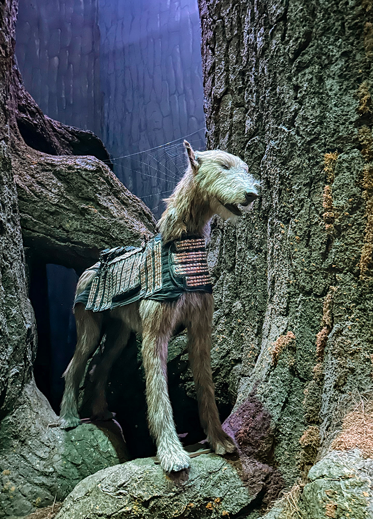 Forêt interdite - Studios Harry Potter