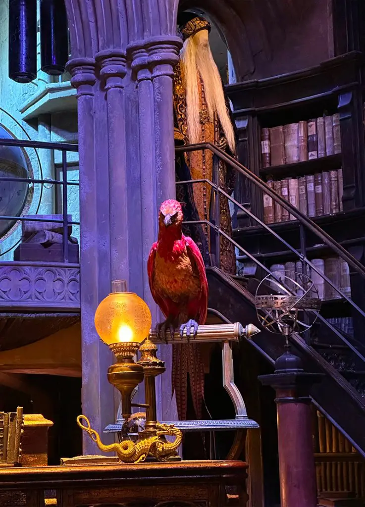 Fumsek - Studios Harry Potter