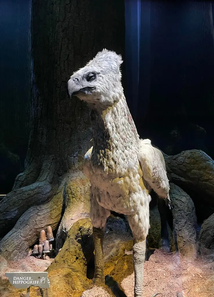 Buck - Studios Harry Potter