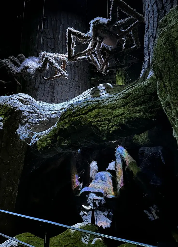 Aragog - Studios Harry Potter