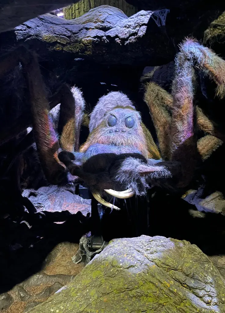 Aragog - Studios Harry Potter