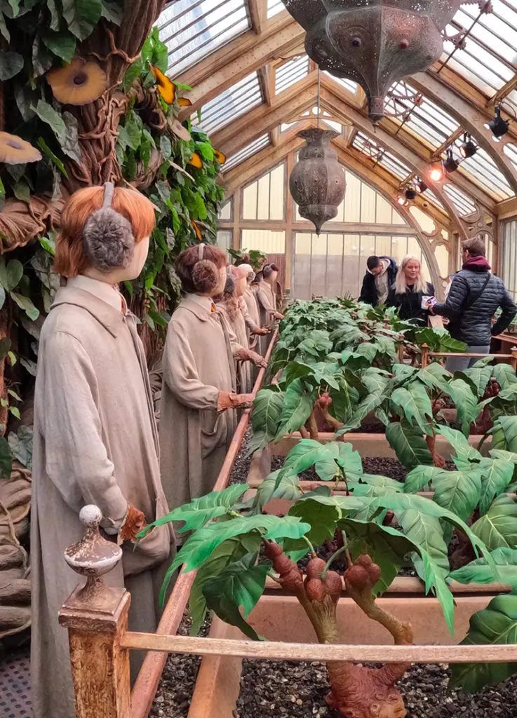 Serre Mandragore - Studios Harry Potter