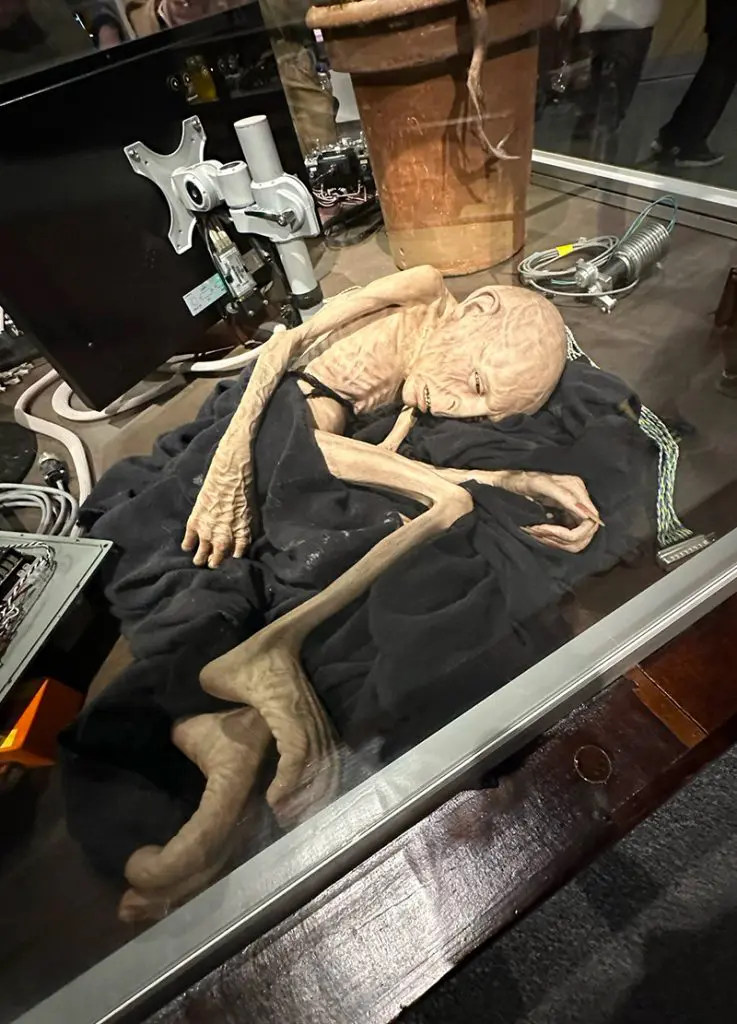 Voldemort - Studios Harry Potter