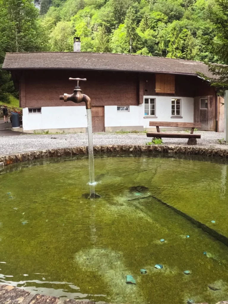 Truite de Blausee