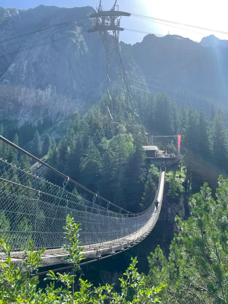 Passerelle suspendue - Lac de Gelmersee