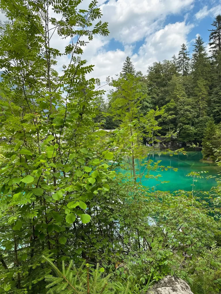 Lac de Blausee
