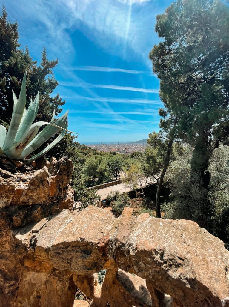 Les allées, les chemins et les viaducs du park güell
