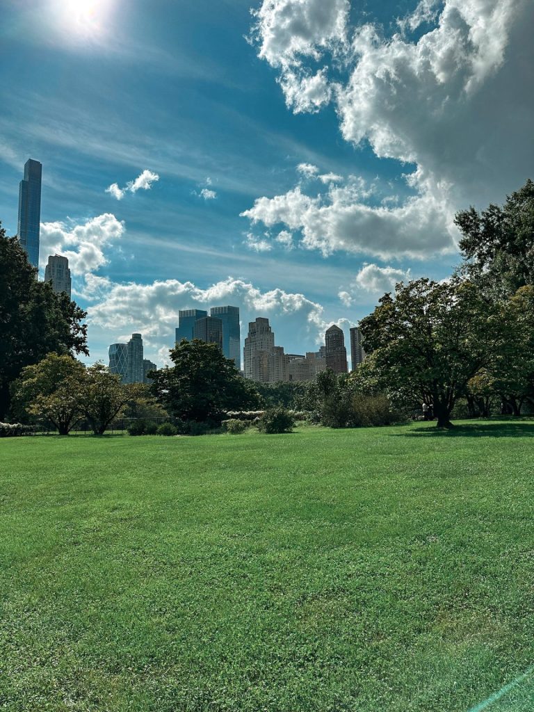 Central Park - New York