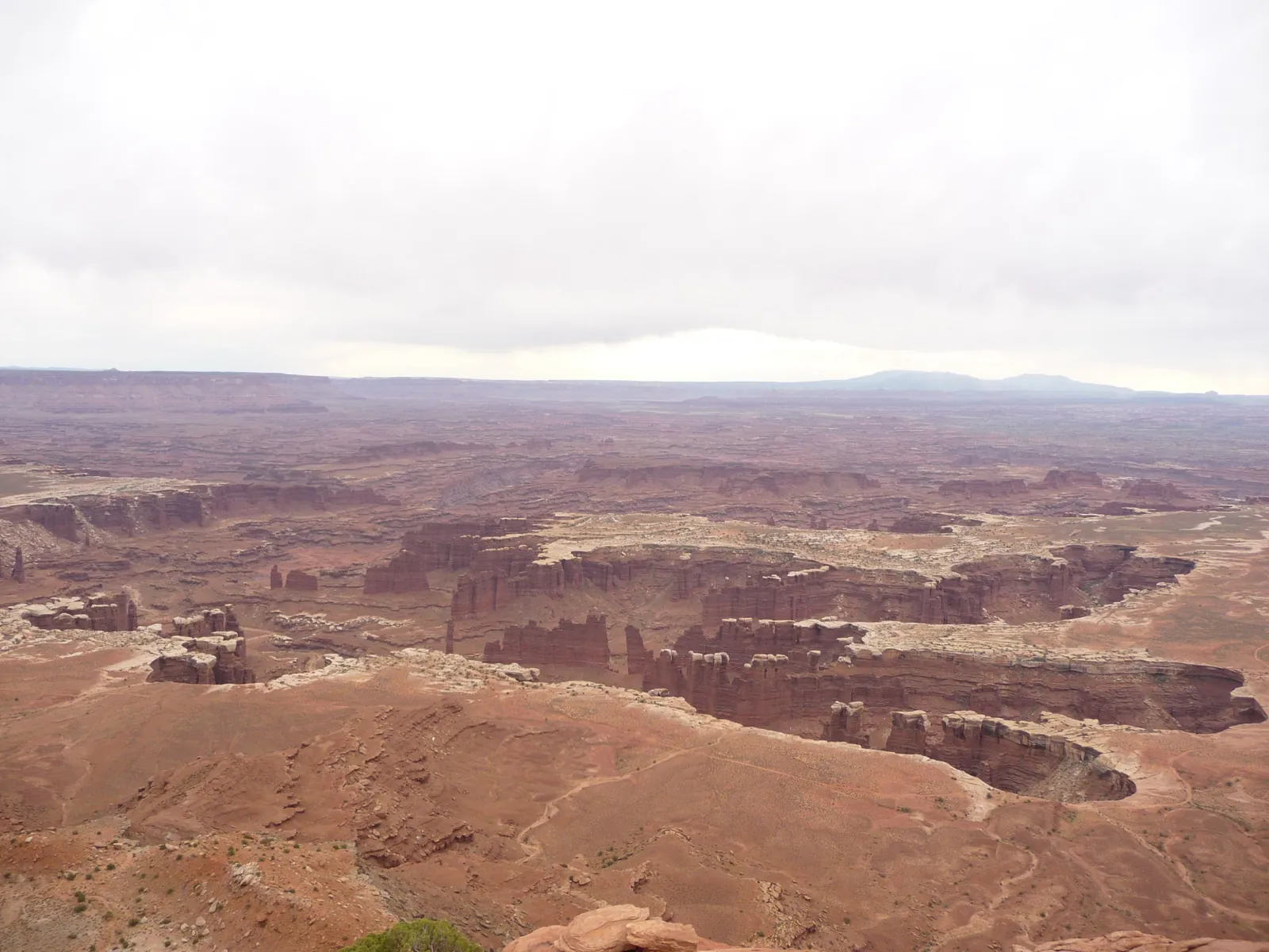Les colonnes de grès de Monument Basin, vues depuis la mesa