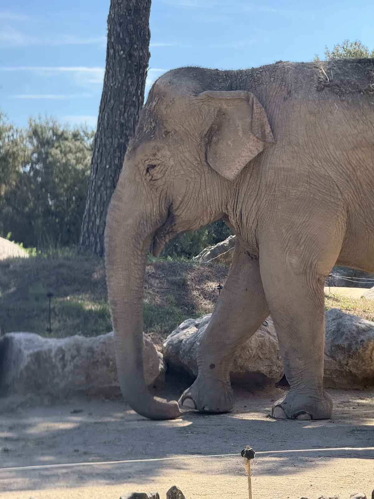 Le parc animalier de la Barben en famille : notre journée et nos conseils