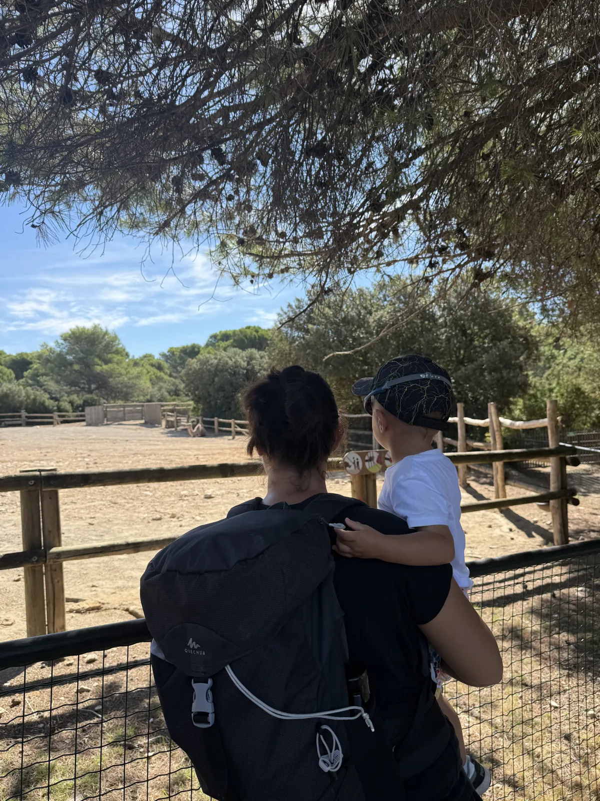 Ethan porté dans les bras devant un grand enclos