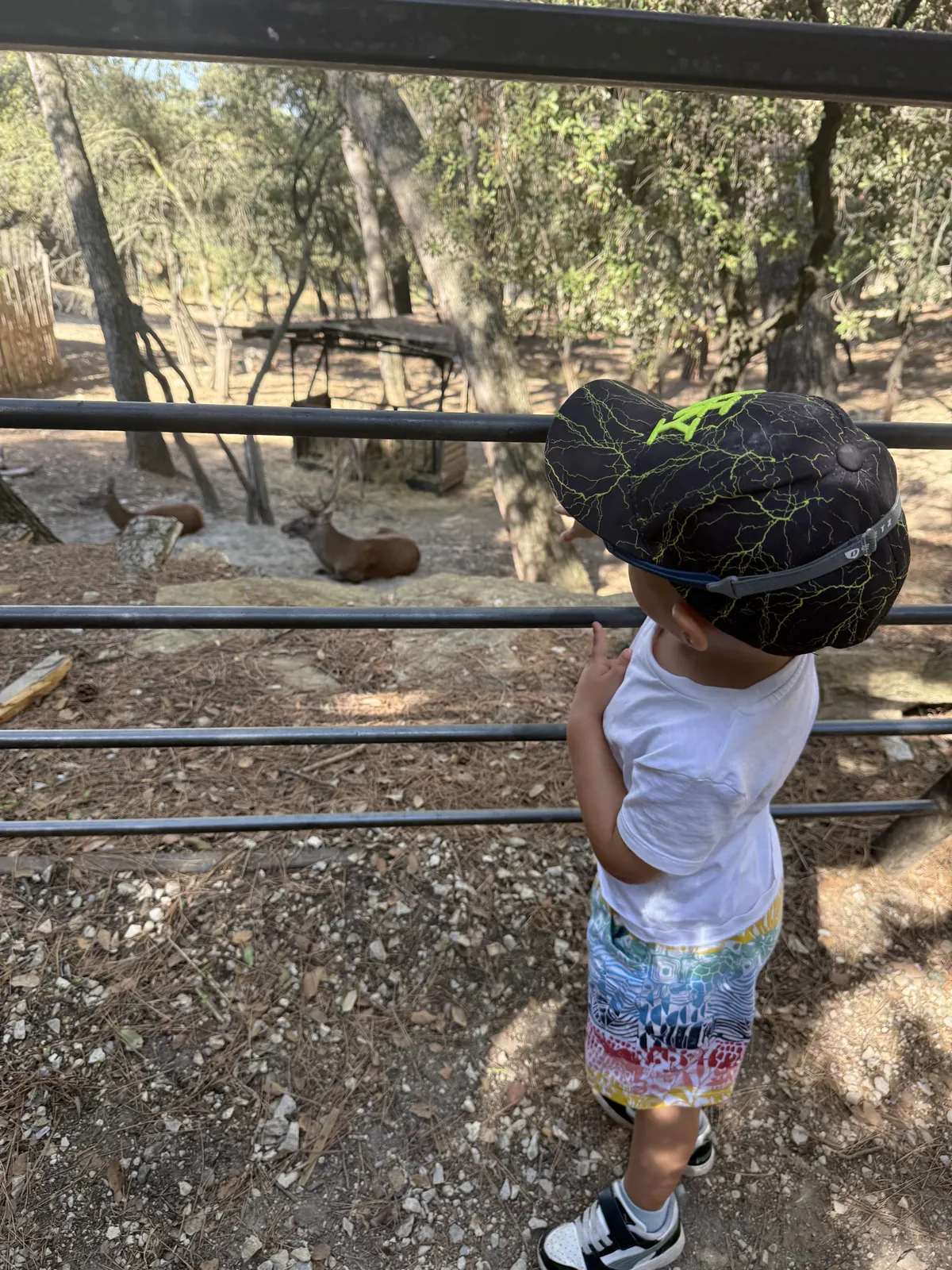 Ethan devant un enclos, casquette sur la tête